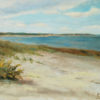 2015-02-Seascape-Hale-Skaket in morning