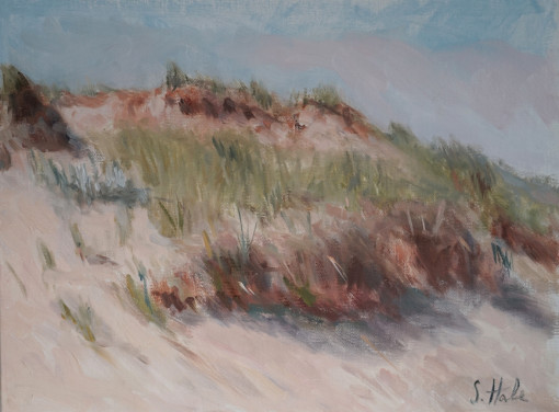 Cape Cod Beach Dunes Study.sm