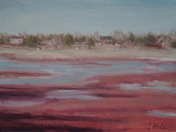 Cranberry Bogs of Dennis, Cranberry Bog, Dennis, massachusetts, Cape Cod, Oil Painting